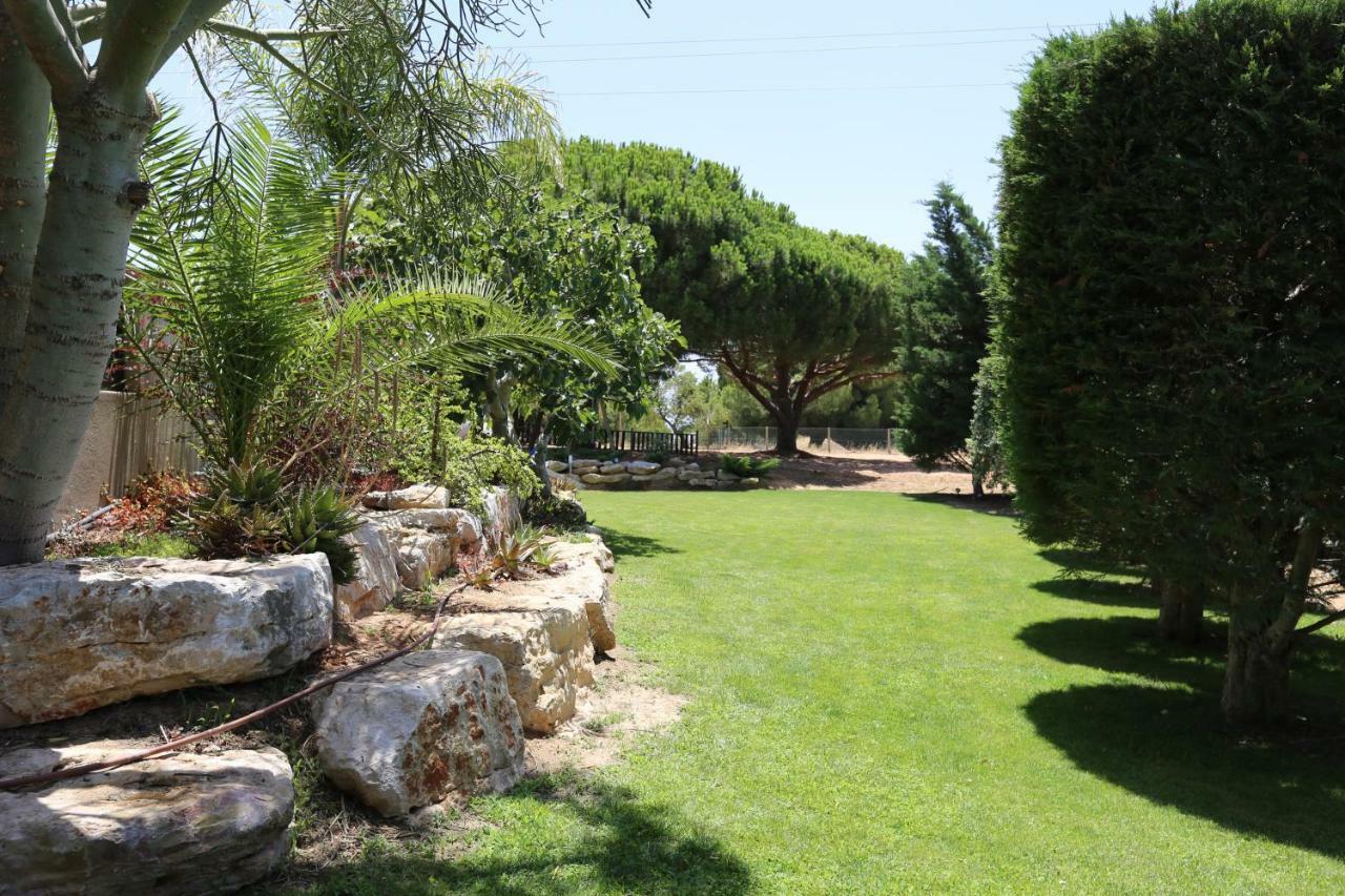 Quinta Do Pinheiro Manso - Holidays Villa - Marinha Beach Carvoeiro  Exteriér fotografie