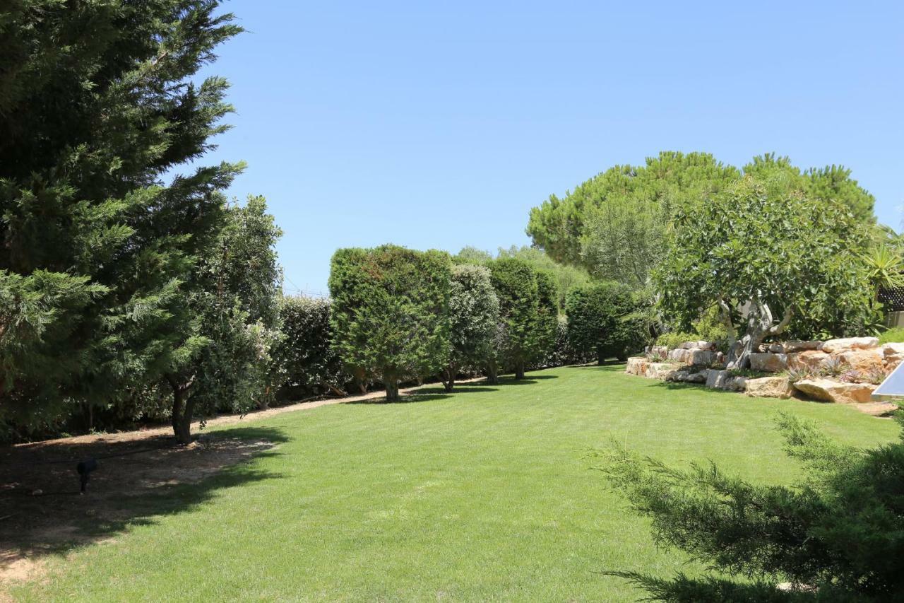 Quinta Do Pinheiro Manso - Holidays Villa - Marinha Beach Carvoeiro  Exteriér fotografie