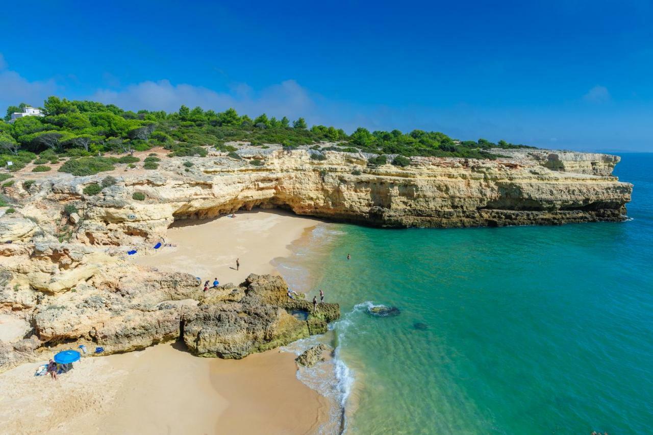Quinta Do Pinheiro Manso - Holidays Villa - Marinha Beach Carvoeiro  Exteriér fotografie